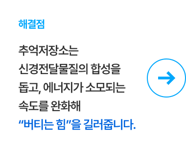 해결점 신경전달물질의 합성을 돕고 에너지가 소모되는 속도를 완화