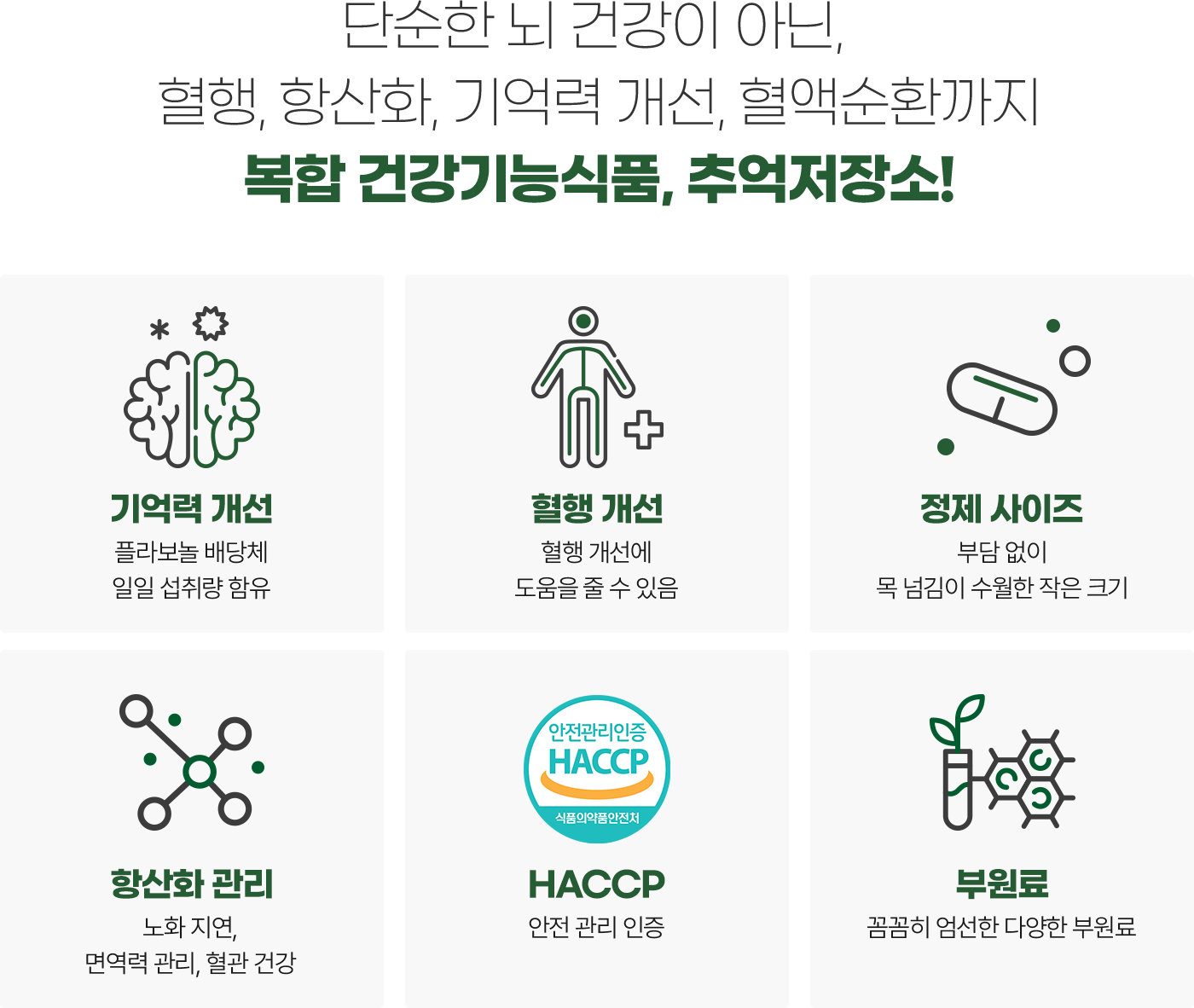 단순한 뇌 건강이 아닌 혈행, 항산화, 기억력 개선, 혈액순환까지 복합 건강기능식품