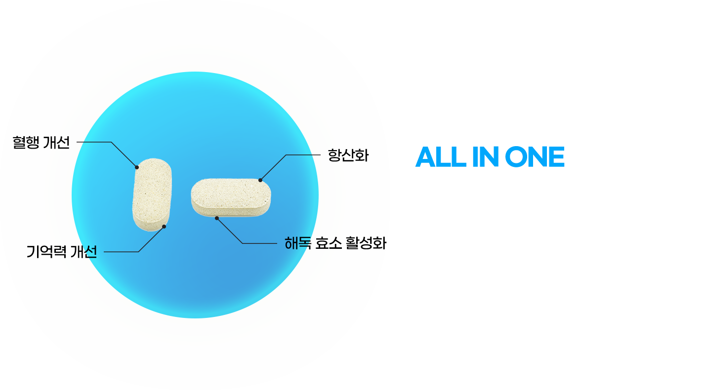 ALL IN ONE 추억저장소 하루 1알