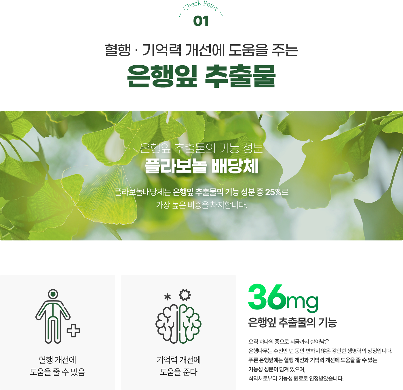 체크포인트1 은행잎 추출물